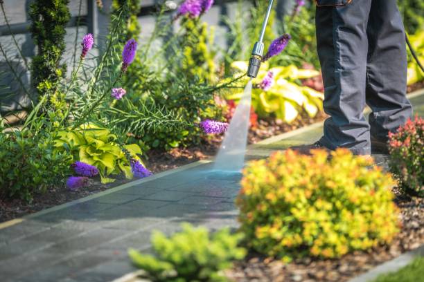 Professional Pressure Washing Services in Holly Springs, MS